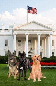 Adapting to life after Service And Wma’s Life After Program